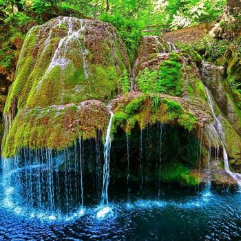 1afc219_small-350x350-1