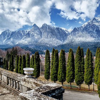 cantacuzino-1-350x350-1