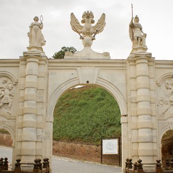 alba-carolina-350x350-1