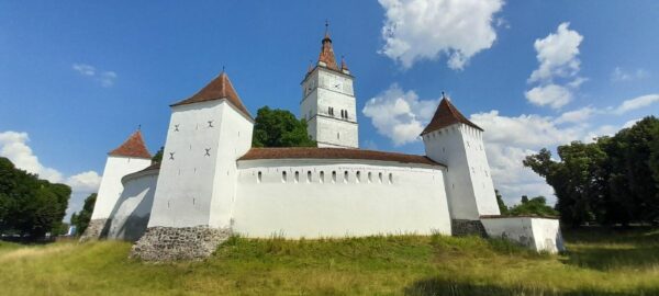 20230703_160929_result-1-600x270