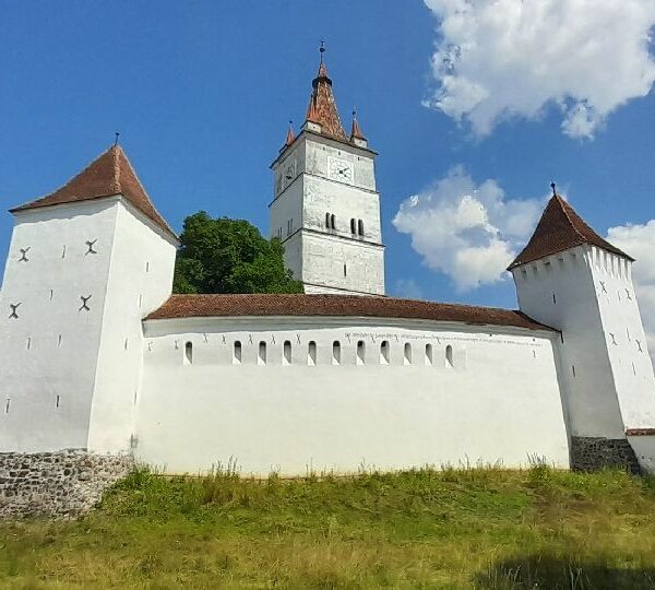 20230703_160929_result-1-600x540