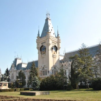 DSC_0317-1-350x350-1