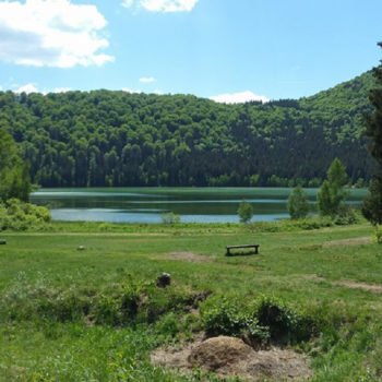 sfanta-ana-350x350-1