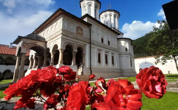 20230701_175513-600x370