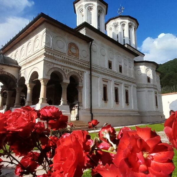 20230701_175513-600x600