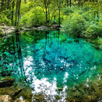 ochiul-beiului-350x350-1