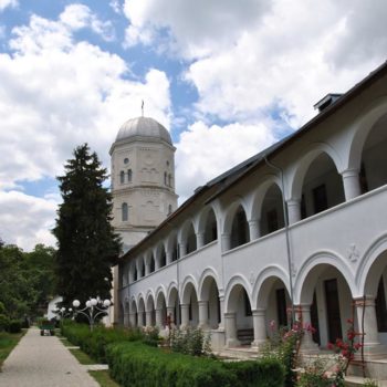 101622335_904053276738116_8758264552287633408_o-350x350