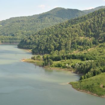 101798887_904714363338674_2181601343486033920_o-350x350