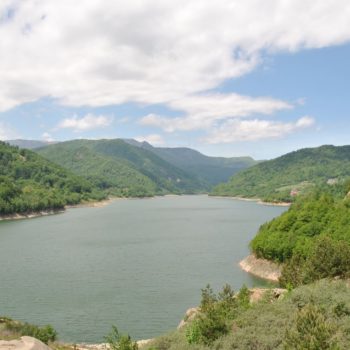 101876604_904714403338670_1407326822869237760_o-350x350