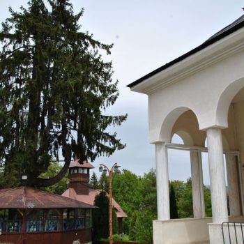 102295986_904049053405205_6730280616882864128_o-350x350