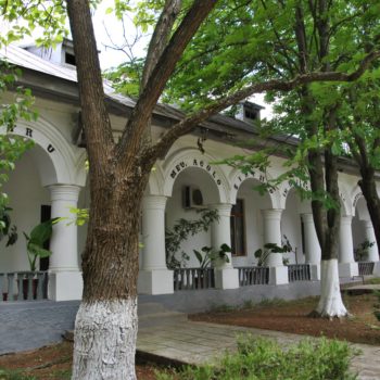 102440800_904053236738120_1870666653516169216_o-350x350