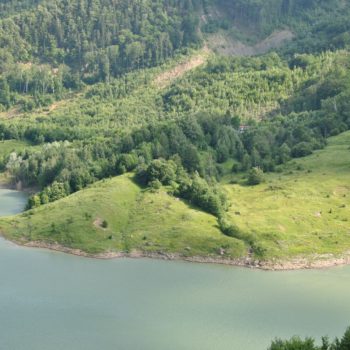 102568334_904714306672013_5651888228064559104_o-350x350