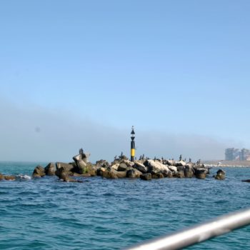 105915932_919308965212547_1392775653120246770_o-350x350