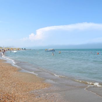 105968748_919308785212565_8243657660157815244_o-350x350