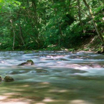 106003993_920046761805434_407366213795511625_o-350x350