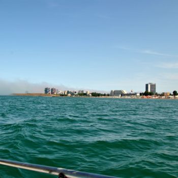 106052110_919308841879226_5449973396711528205_o-350x350