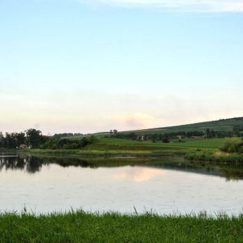 106151087_924986741311436_115871739523380450_o-350x350