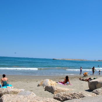 106369585_922106931599417_2747584837890918141_o-350x350