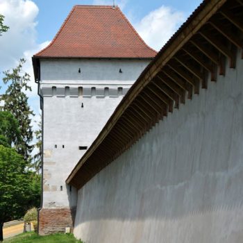 106471190_924272398049537_7394273799284032233_o-350x350