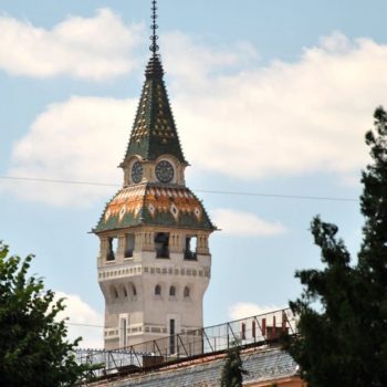 106472233_924272438049533_2895094049569594253_o-350x350