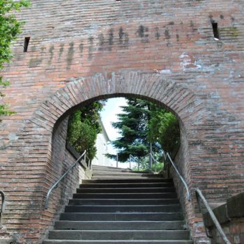 106531869_924272704716173_6085845464346567702_o-350x350