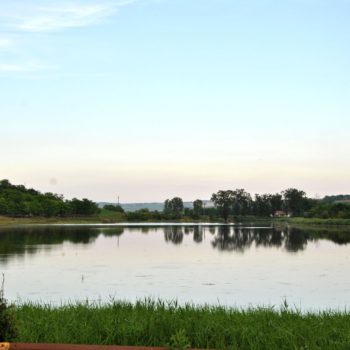 106532433_924986594644784_5568268934213683692_o-350x350