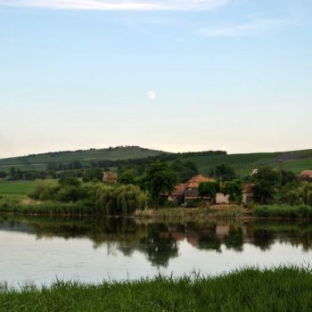 106669659_924986381311472_8401857683490734233_o-350x350