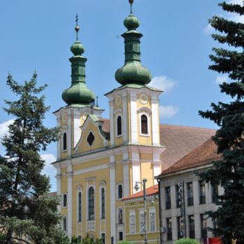 106908096_924272344716209_4526585975551276984_o-350x350