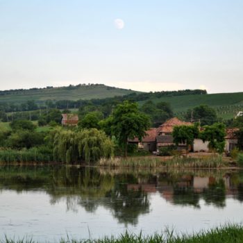 106935512_924986691311441_768319666507220393_o-350x350