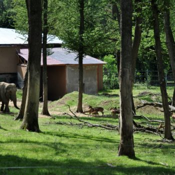 106983934_926632144480229_3330886462657449969_o-350x350