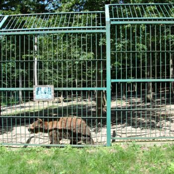 107017246_926632101146900_7258418387931240089_o-350x350