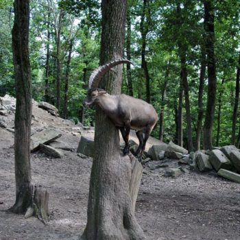 107053921_926632271146883_5562680892831520415_o-350x350