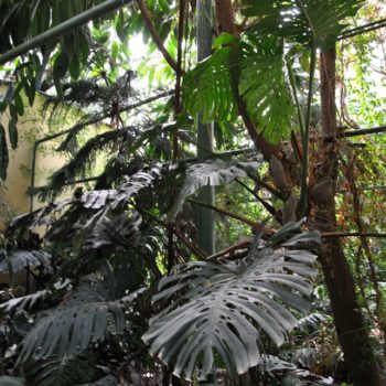 107093347_926632501146860_8554550341469432858_o-350x350