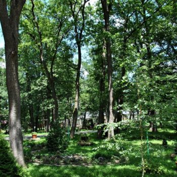 107098326_926631394480304_1592502404571128388_o-350x350