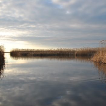 107862663_932900027186774_2805487388474454735_o-350x350