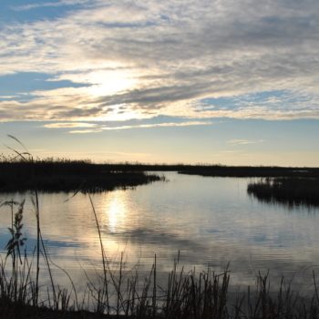 107908487_932899903853453_710213378061343048_o-350x350