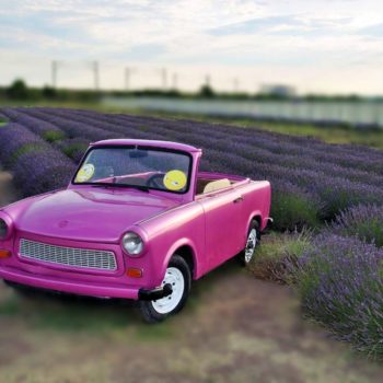 108350808_934257903717653_9120101734701776627_o-350x350