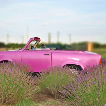 109077181_934257660384344_8345549257928864470_o-350x350