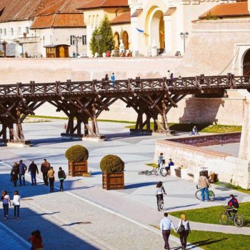 109233970_939355069874603_1572188313690609125_o-350x350