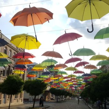 109692442_936598930150217_6990119822190017412_o-350x350