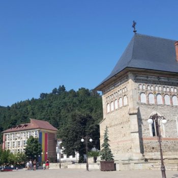 109695598_935886890221421_4949550291080334759_o-350x350