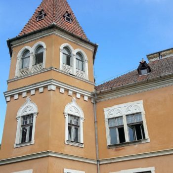 109736014_937975856679191_3173124225099817042_o-350x350