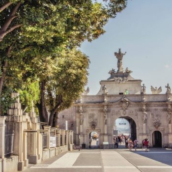 110219480_939354586541318_2002292684639612509_o-350x350