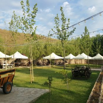 114269574_942353259574784_4133485701633886252_o-350x350