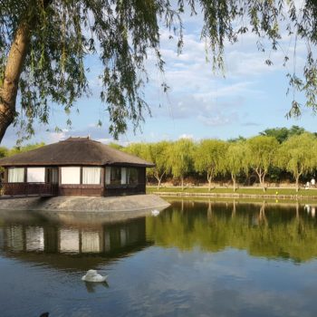 114453394_942353142908129_4651080171732649293_o-350x350