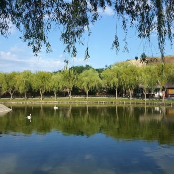 114608457_942352922908151_8123297410202764897_o-350x350