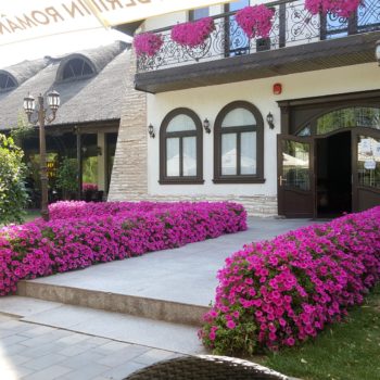 114608461_942353292908114_9189669238317392845_o-350x350