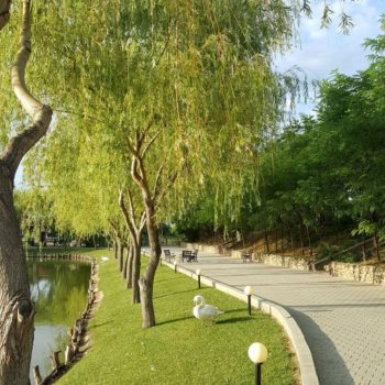 114757565_942353396241437_201483531594464043_o-350x350