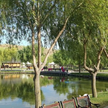 115747448_942352989574811_6412464399459506199_o-350x350