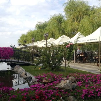 115805932_942353036241473_8200966973947819785_o-350x350